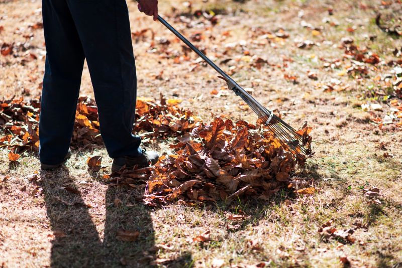 Yard Raking Service