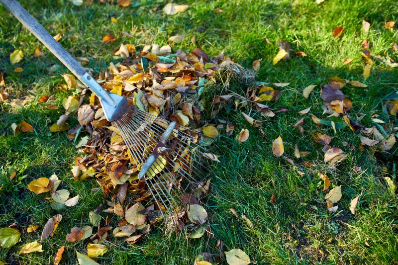 Leaf Raking in Progress