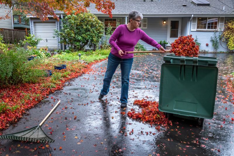 Collected Leaves Ready for Disposal