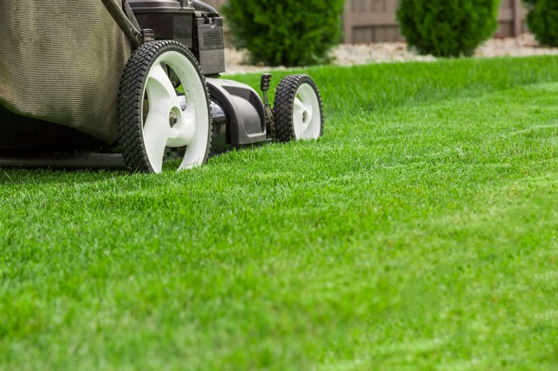 Lawn Maintenance detail