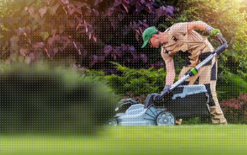 Lawn Care And Maintenance