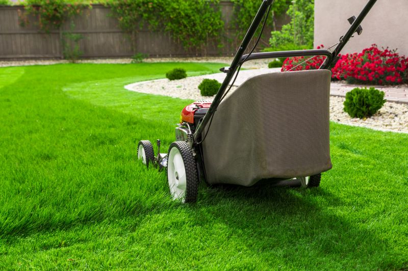 Summer Lawn Maintenance