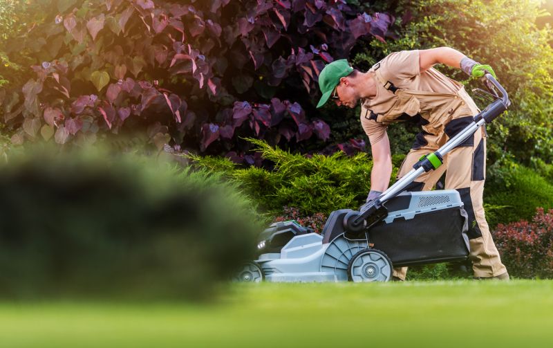 Experienced Lawn Care Teams