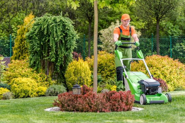 Cost of Yard Service in Dublin