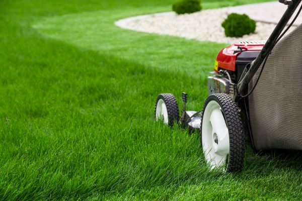 Cost of Lawn Service in Dublin