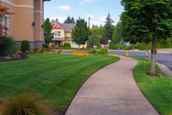 Cost of Home Lawn Maintenance in Dublin