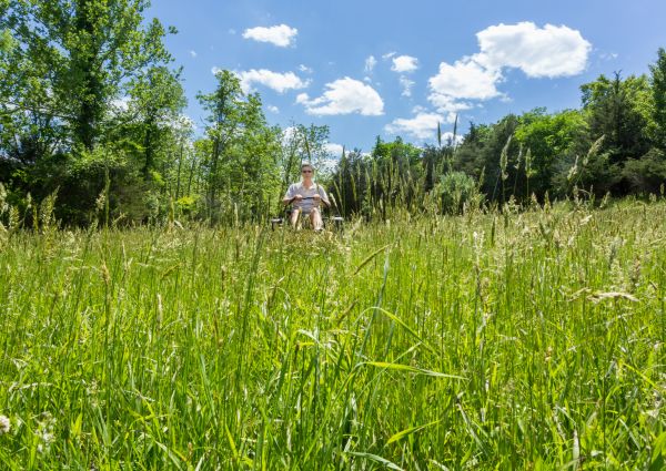 Cost of Long Grass Mowing in Dublin