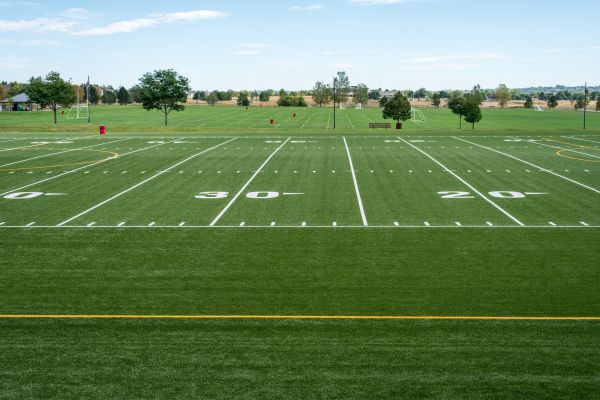Cost of Groundskeeping Service in Dublin