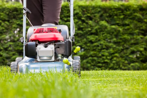 Grass Trimming Service in Dublin