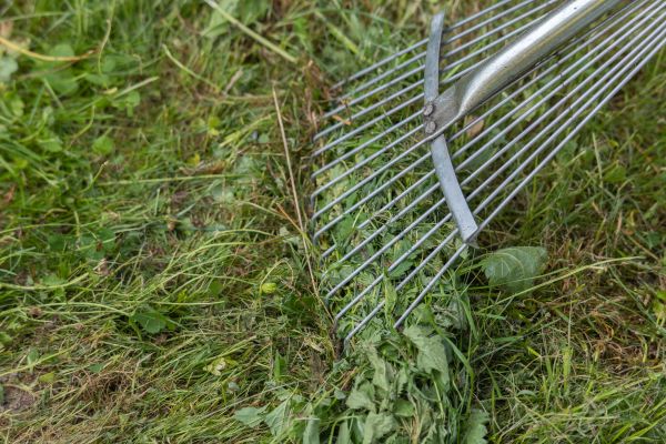 Thatch Raking in Dublin