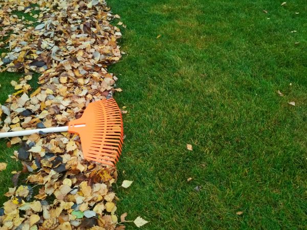 Cost of Fall Lawn Care in Dublin