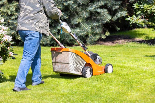 Springtime Lawn Care in Dublin