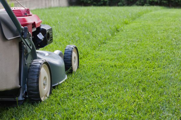 Spring Lawn Maintenance in Dublin