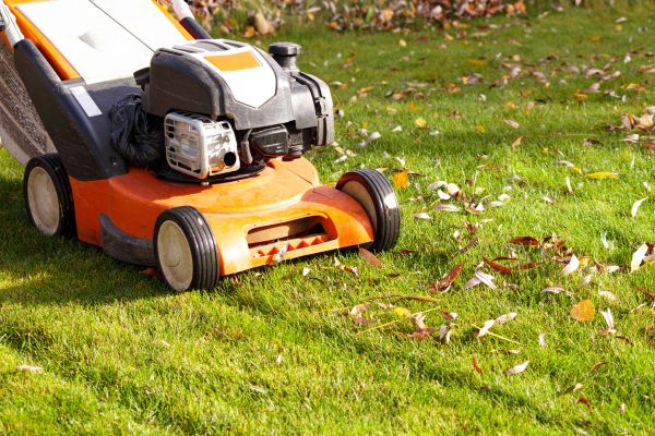 Cost of Fall Mowing in Dublin